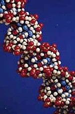 Obrázek modelu řetězce DNA, zvětšené