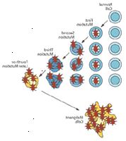Genetická ilustrace prokazující buněk mutace