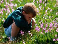 Obrázek mladý chlapec sedí v poli divokých květin